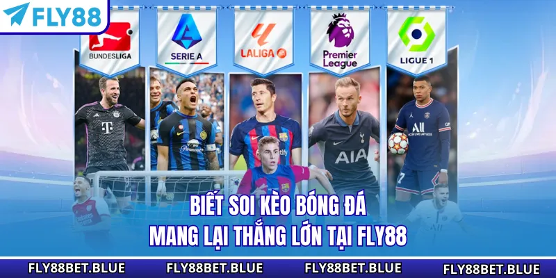 Biết soi kèo bóng đá mang lại thắng lớn tại FLY88
